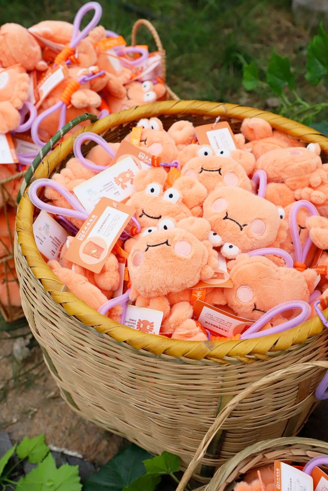 小小冰箱贴缘何成了“社交货币”PG电子麻将胡了模拟器江南观察(图1)