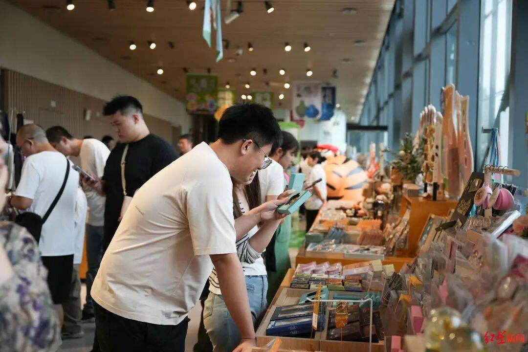 热销！就这样把成都带走PG电子麻将胡了模拟器(图7)